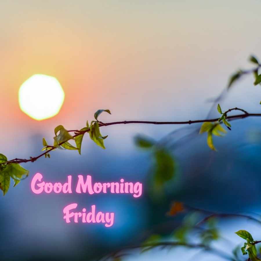 gud morning friday images