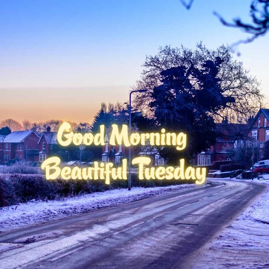 good morning tuesday pictures