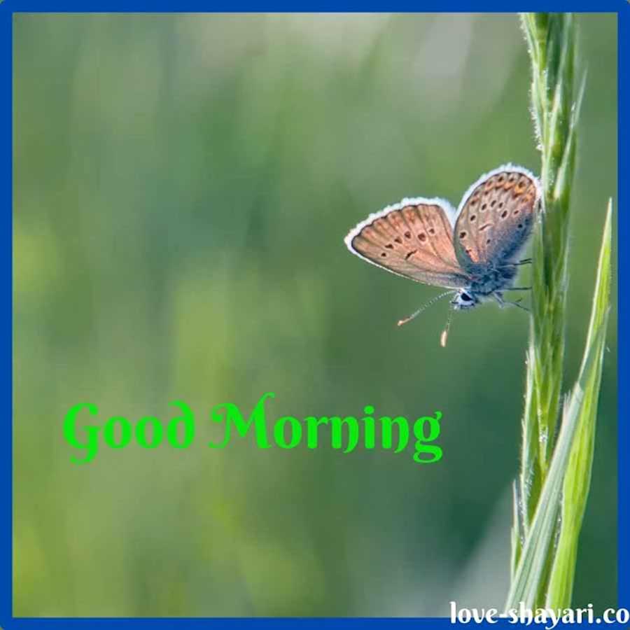 good morning images new style hd